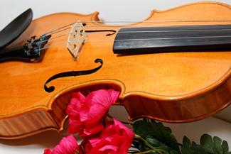 fiddle and flowers