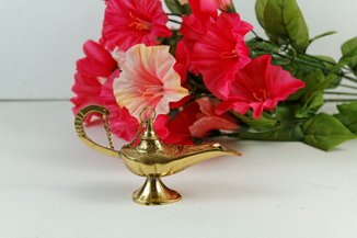 Brass Genie Lamp and red Flowers
