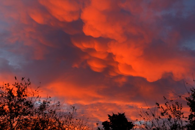 Sky Fire red clouds on a morning sky